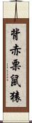 背赤栗鼠猿 Scroll