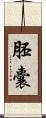 胚囊 Scroll