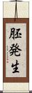 胚発生 Scroll