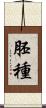 胚種 Scroll