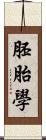 胚胎學 Scroll