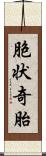 胞状奇胎 Scroll