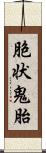 胞状鬼胎 Scroll