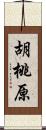 胡桃原 Scroll