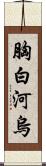 胸白河烏 Scroll