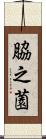 脇之薗 Scroll