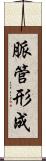 脈管形成 Scroll