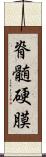 脊髄硬膜 Scroll