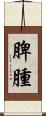 脾腫 Scroll