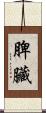 脾臟 Scroll