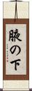腋の下 Scroll
