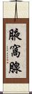 腋窩腺 Scroll