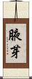 腋芽 Scroll