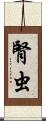 腎虫 Scroll