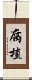 腐植 Scroll