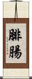 腓腸 Scroll