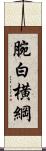 腕白横綱 Scroll