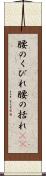 腰のくびれ Scroll