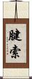 腱索 Scroll