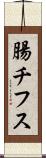 腸チフス Scroll