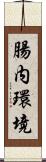 腸内環境 Scroll