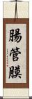 腸管膜 Scroll
