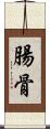 腸骨 Scroll
