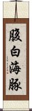 腹白海豚 Scroll