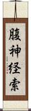 腹神経索 Scroll