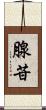 腺苷 Scroll