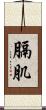 膈肌 Scroll
