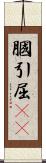 膕 Scroll