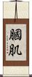 膕肌 Scroll