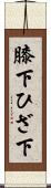 膝下 Scroll