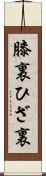 膝裏 Scroll