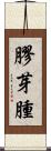 膠芽腫 Scroll
