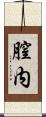 膣内 Scroll