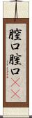膣口 Scroll
