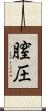 膣圧 Scroll