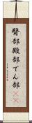 臀部 Scroll