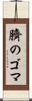 臍のゴマ Scroll