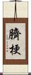 臍梗 Scroll