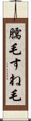 臑毛 Scroll