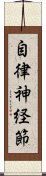 自律神経節 Scroll