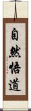 自然悟道 Scroll