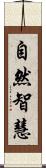 自然智慧 Scroll