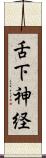 舌下神経 Scroll