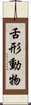 舌形動物 Scroll