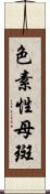 色素性母斑 Scroll
