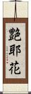 艶耶花 Scroll